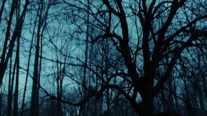 Backdrop to the movie "Jennifer