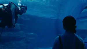 Backdrop to the movie "Boy in the Pool" #885233