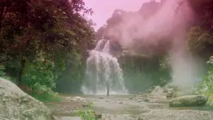 Backdrop to the movie "Green Snake" #903103