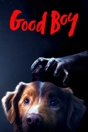 Poster to the movie "Good Boy" #770399