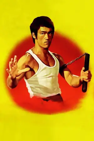 Poster to the movie "The Way of the Dragon" #745734