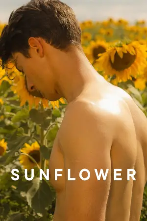 Poster to the movie "Sunflower" #820120