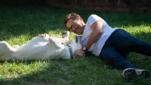 Backdrop to the movie "Dog Gone" #384463