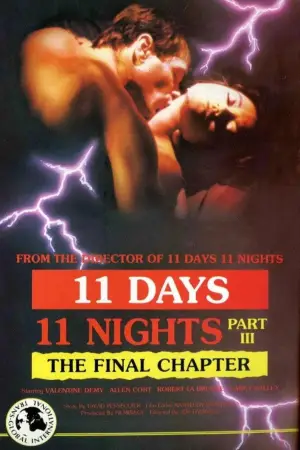 Poster to the movie "The Final Chapter" #928818