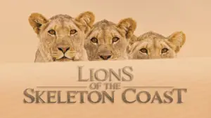 Backdrop to the movie "Lions of the Skeleton Coast" #880744