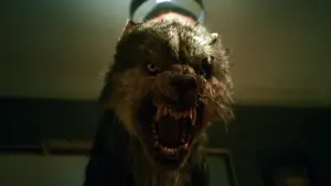 Backdrop to the movie "Viking Wolf" #331014