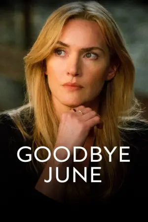 Poster to the movie "Goodbye June" #801569