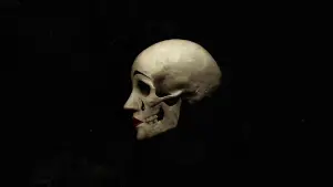 Backdrop to the movie "A Haunting in Venice" #266564