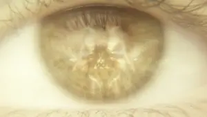 Backdrop to the movie "Godzilla x Kong: The New Empire" #565520