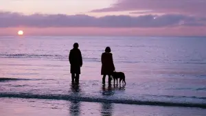 Backdrop to the movie "Submarine" #701544