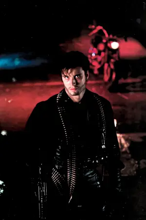 Poster to the movie "The Punisher" #338139