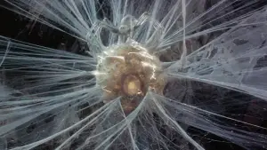 Krull