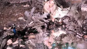 Backdrop to the movie "Donkey Skin" #812105