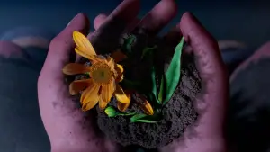 Backdrop to the movie "Boonie Bears: Future Reborn" #682008