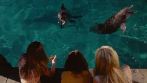 Backdrop to the movie "Aquamarine" #869238