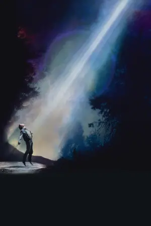 Poster to the movie "Fire in the Sky" #454857