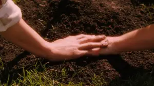 Backdrop to the movie "Flipped" #751259