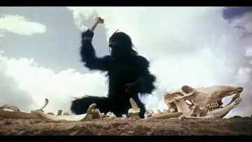 Backdrop to the movie "2001: A Space Odyssey" #833088