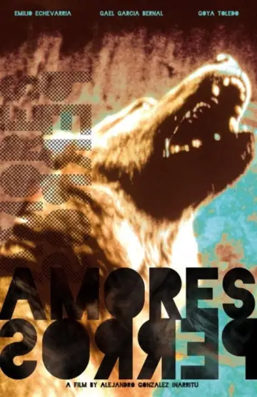 Poster to the movie "Amores Perros" #1204908