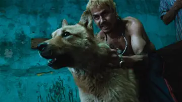 Backdrop to the movie "Amores Perros" #1781865