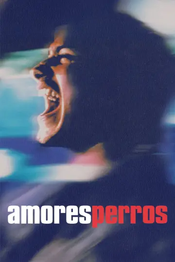 Poster to the movie "Amores Perros" #827785