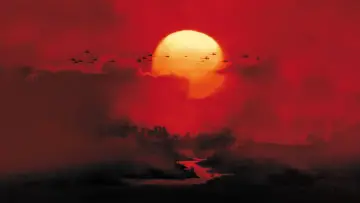 Backdrop to the movie "Apocalypse Now" #593671