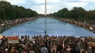 Backdrop to the movie "Forrest Gump" #528541