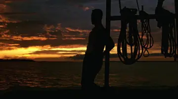 Backdrop to the movie "Forrest Gump" #528565