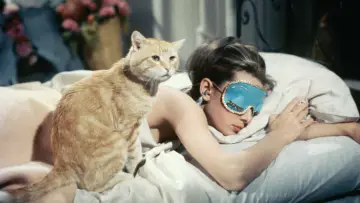 Backdrop to the movie "Breakfast at Tiffany