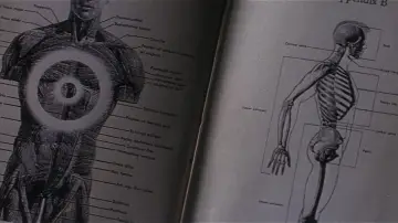 Backdrop to the movie "Donnie Darko" #528233