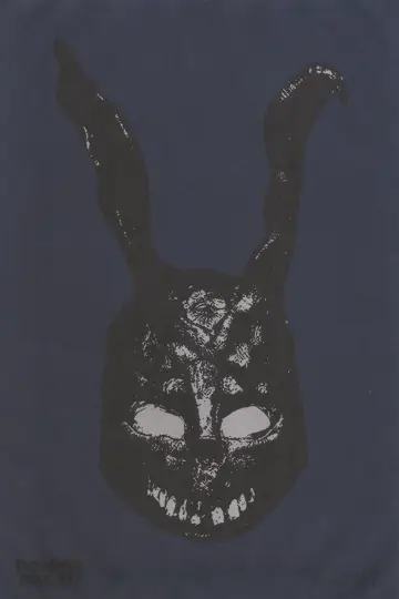 Poster to the movie "Donnie Darko" #528370