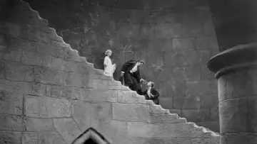 Backdrop to the movie "Dracula" #1799717