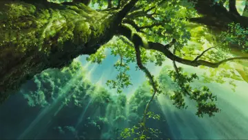 Backdrop to the movie "Princess Mononoke" #1206830