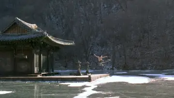 Backdrop to the movie "Spring, Summer, Fall, Winter... and Spring" #752955