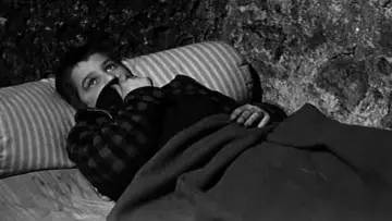 Backdrop to the movie "The 400 Blows" #677793