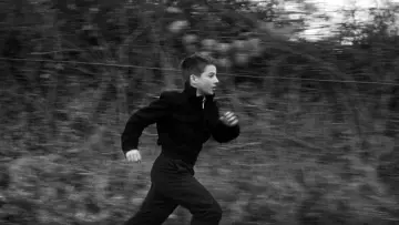 Backdrop to the movie "The 400 Blows" #677805