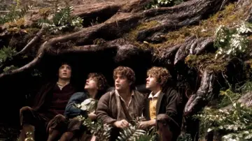 Backdrop to the movie "The Lord of the Rings: The Fellowship of the Ring" #165863
