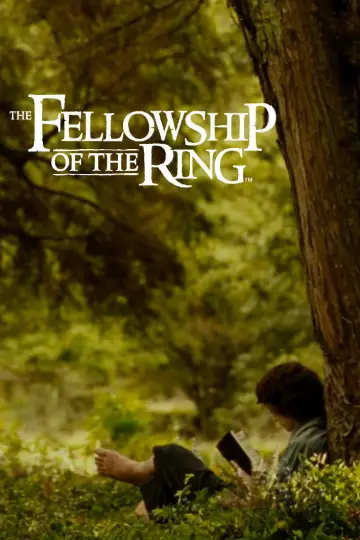Poster to the movie "The Lord of the Rings: The Fellowship of the Ring" #1856745