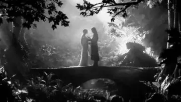 Backdrop to the movie "The Lord of the Rings: The Fellowship of the Ring" #1893318
