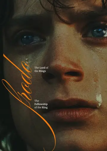 Poster to the movie "The Lord of the Rings: The Fellowship of the Ring" #1893324