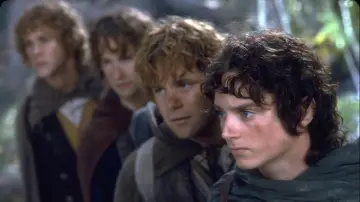 Backdrop to the movie "The Lord of the Rings: The Fellowship of the Ring" #515521