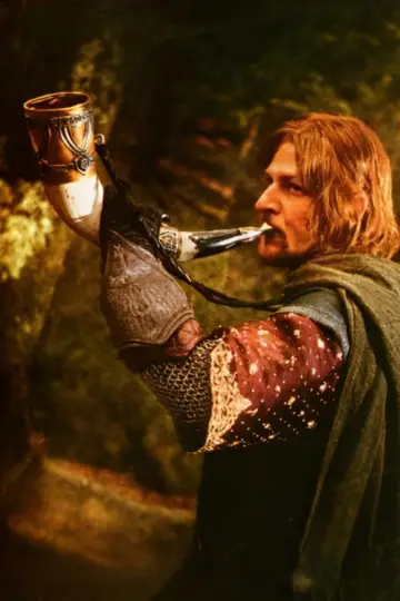 Poster to the movie "The Lord of the Rings: The Fellowship of the Ring" #515943