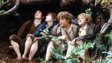 Backdrop to the movie "The Lord of the Rings: The Fellowship of the Ring" #958721