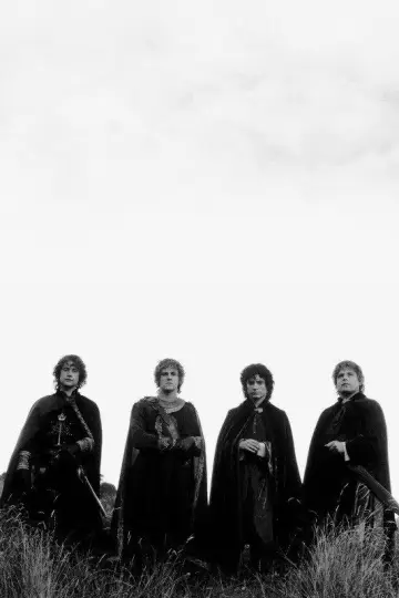 Poster to the movie "The Lord of the Rings: The Return of the King" #1215047