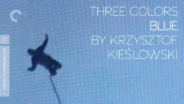Backdrop to the movie "Three Colors: Blue" #729299