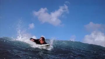 Backdrop to the movie "Point Break" #790052