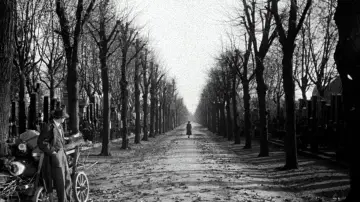 Backdrop to the movie "The Third Man" #699986