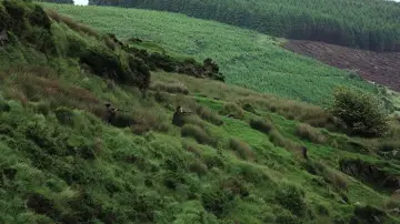 Backdrop to the movie "The Wind That Shakes the Barley" #903999