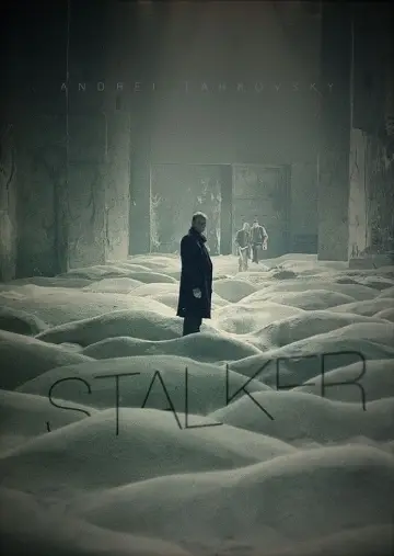 Poster to the movie "Stalker" #159920