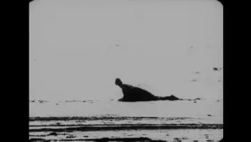 Backdrop to the movie "Begotten" #1868626